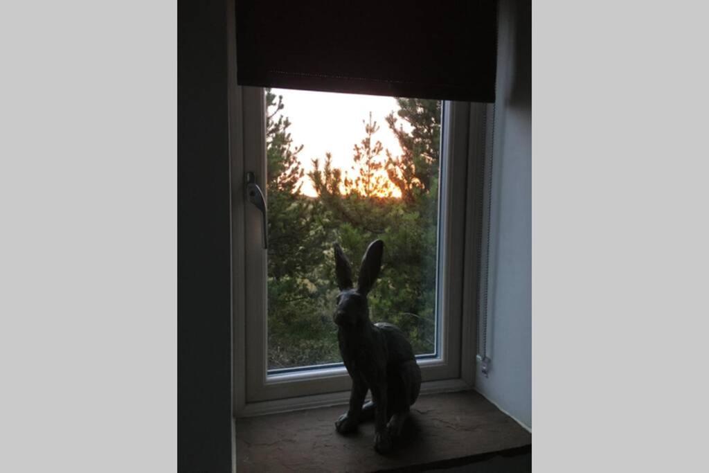 Hare Cottage At Hill Top Greenhow Hill 外观 照片